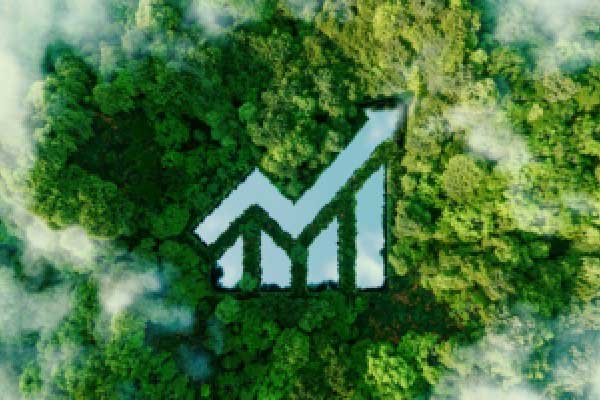 分析师称：中国股市抛售将提供买入机会